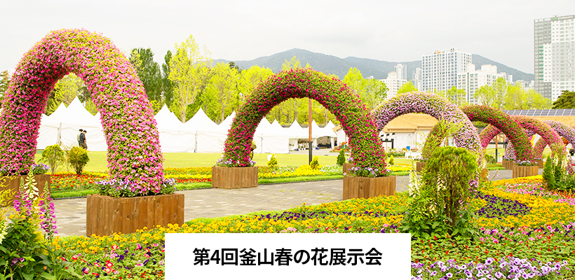 第4回釜山春の花展示会 관련 이미지